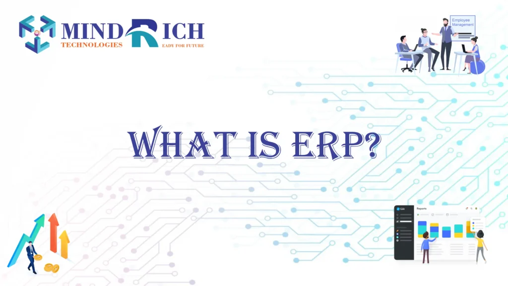 What is Enterprise Resource Planning (ERP)